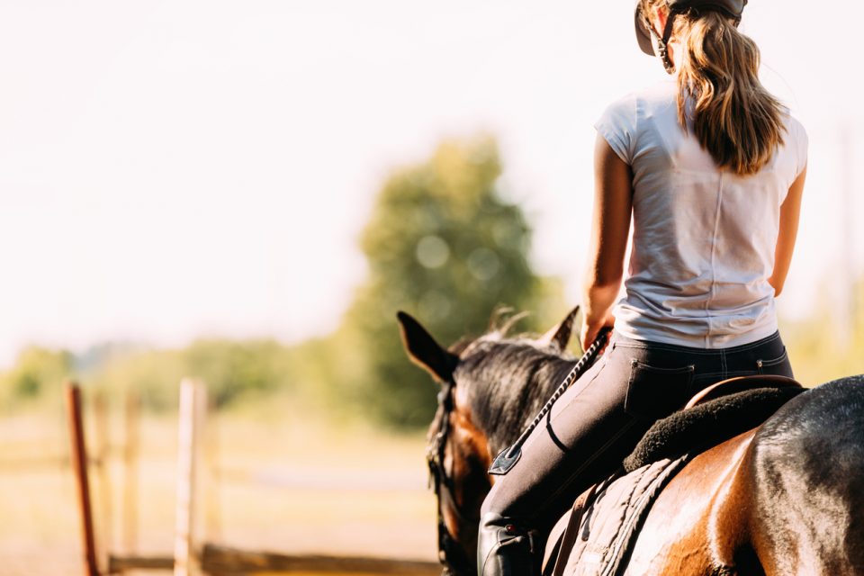 Double Barrel Stables