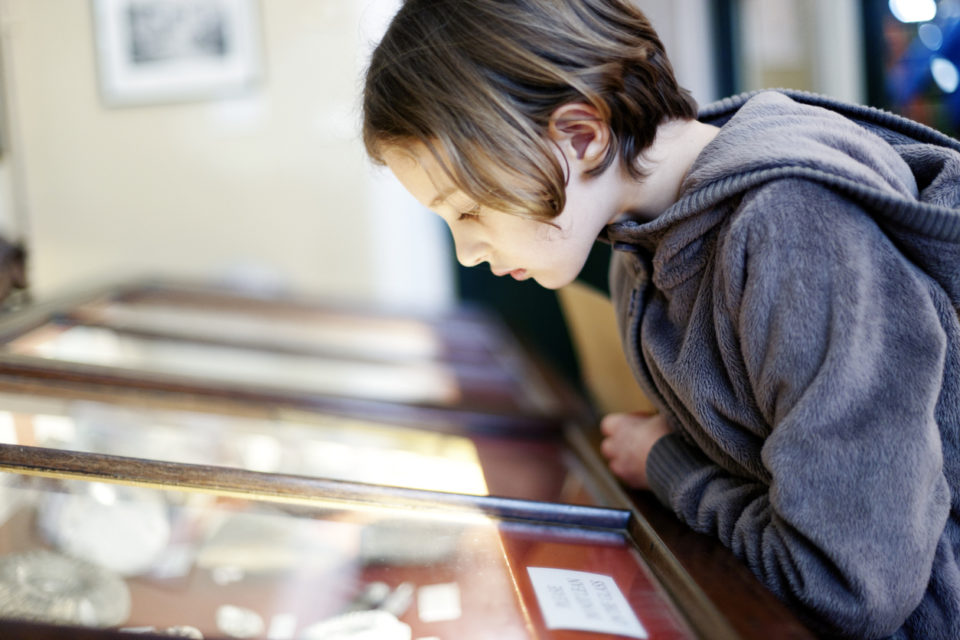A young girl looking at an exhibit in a glass display case in a museum,