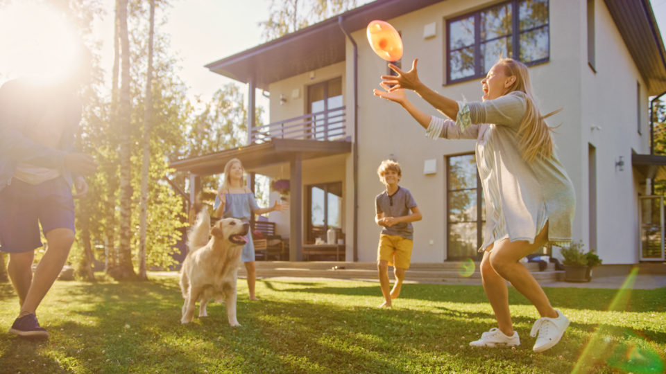 Beautiful Family of Four Play Catch Toy Ball with Happy Golden Retriever Dog on the Backyard Lawn. Idyllic Family Has Fun with Loyal Pedigree Dog Outdoors in Summer House Backyard.