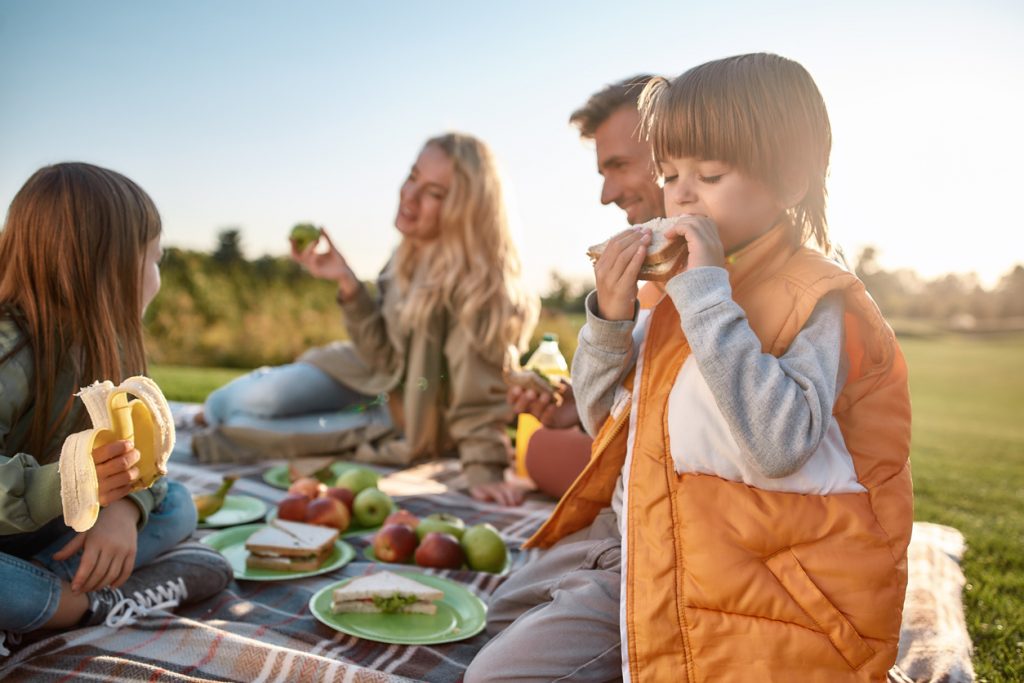 picnic