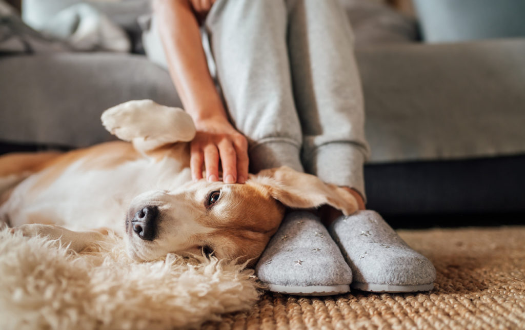 Woman petting her dog while wearing slippers.