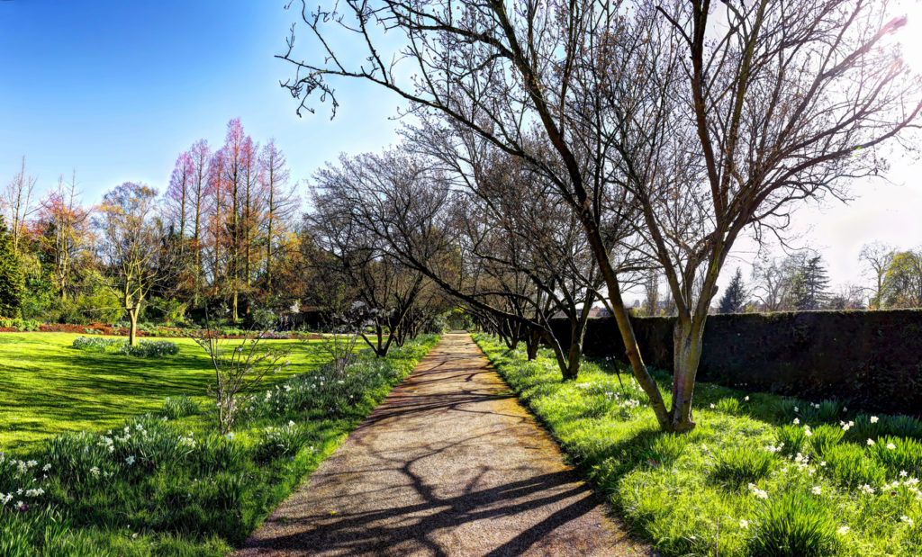 path in the park