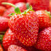 Visit Homeplace Strawberries & More
